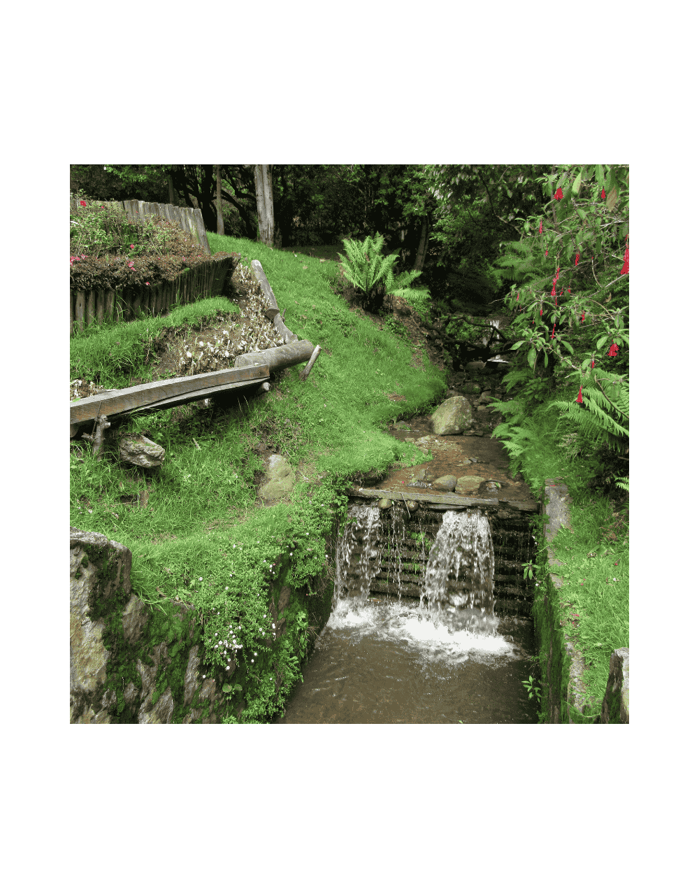 SENDERISMO 🥾 QUEBRADA LA VIEJA