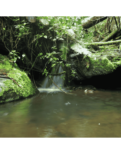 SENDERISMO 🥾 QUEBRADA LA VIEJA
