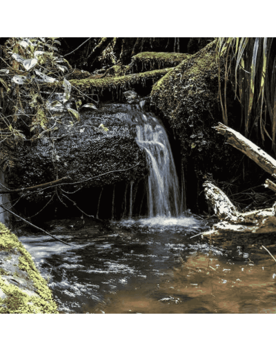 SENDERISMO 🥾 QUEBRADA LA VIEJA