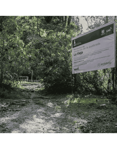 SENDERISMO 🥾 QUEBRADA LA VIEJA