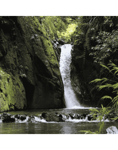 Circuito Full Day Santa Elena Antioquia
