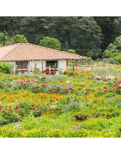Circuito Full Day Santa Elena Antioquia