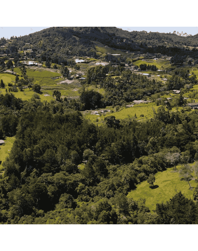 Circuito Full Day Santa Elena Antioquia