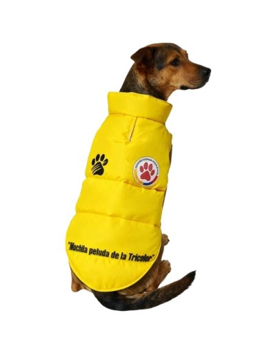 chaleco marfil nuestra selección 