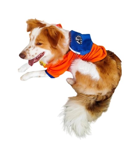 Buso maleta funcional 