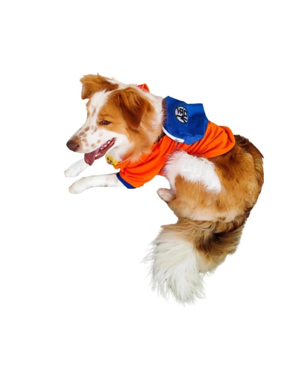 Buso maleta funcional 