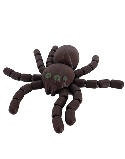 tarantula