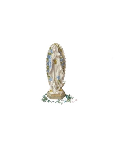virgen guadalupe