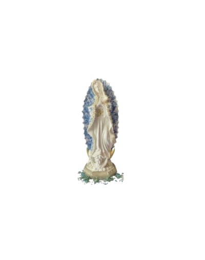 virgen guadalupe