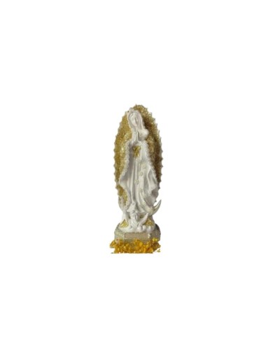 virgen guadalupe