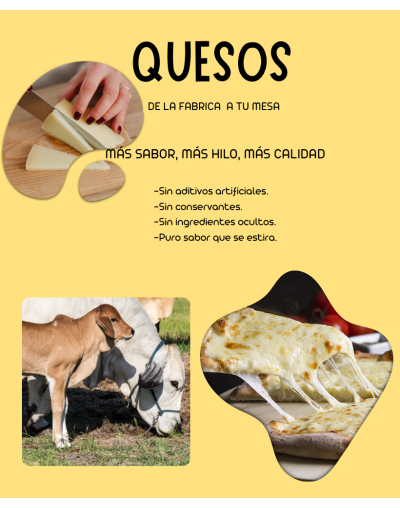 Queso Doble Crema Tajado | Cremoso, Fresco y 100% Natural