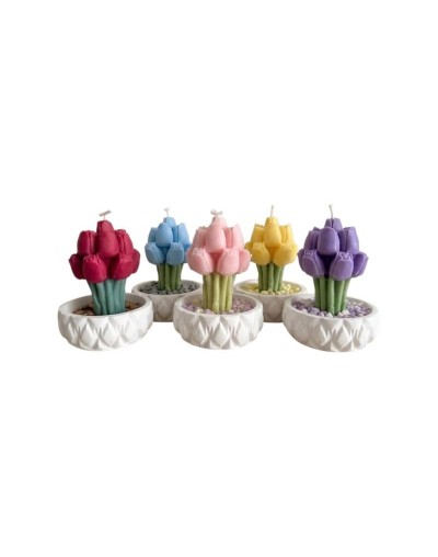 Mini Jardín Tulipán