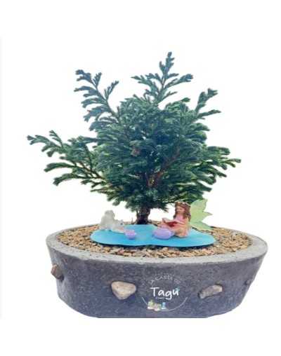 Bonsai de Pino
