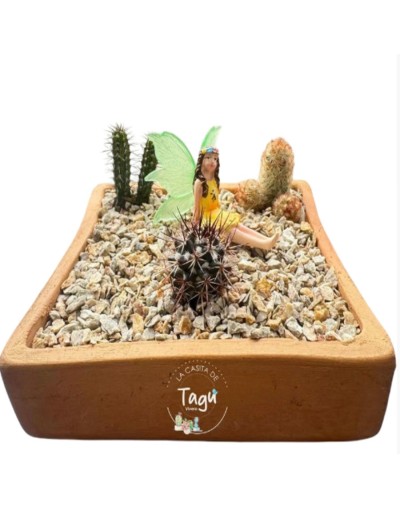 Arreglo de cactus