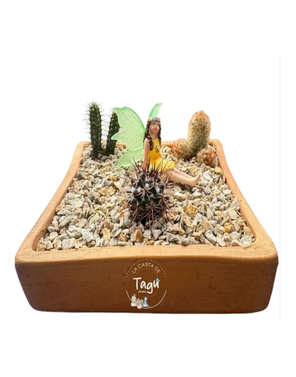 Arreglo de cactus
