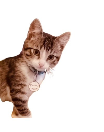 placa para gato marcada