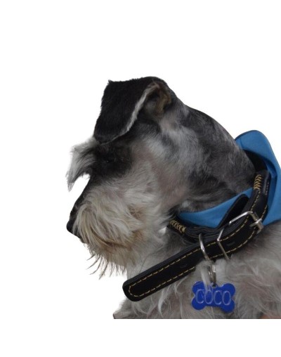 Placa marcada para perro