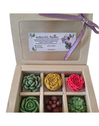 WAXMELTS JARDINES DEL ALTIPLANO