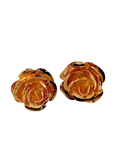 Aretes: Rosas Eternas