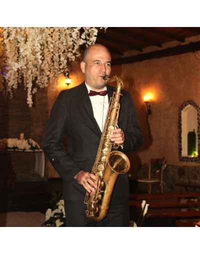 Lanzamientos de marca