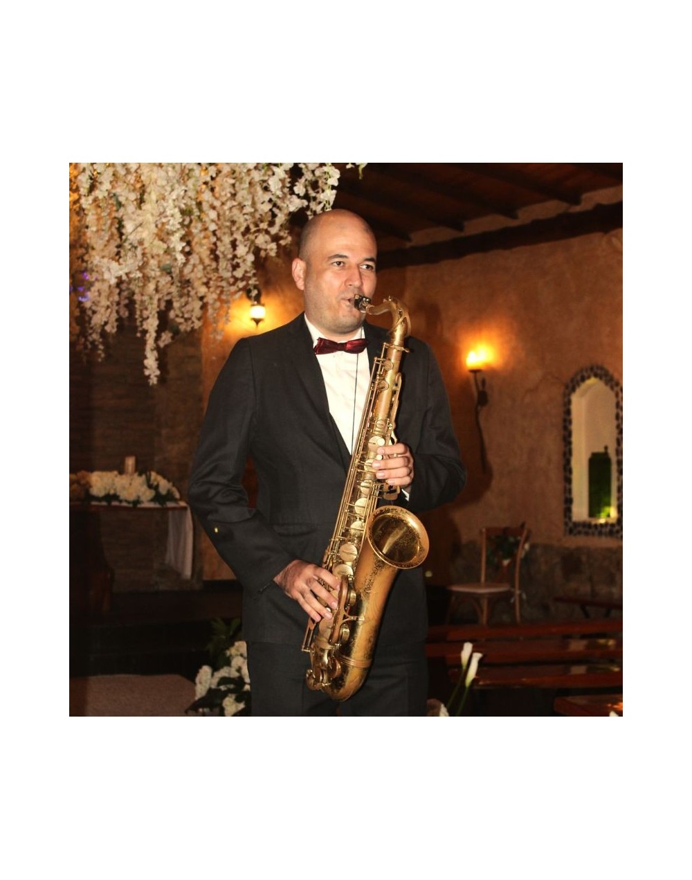 Lanzamientos de marca