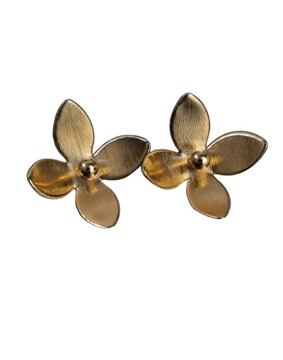 Aretes: Briza Botanica