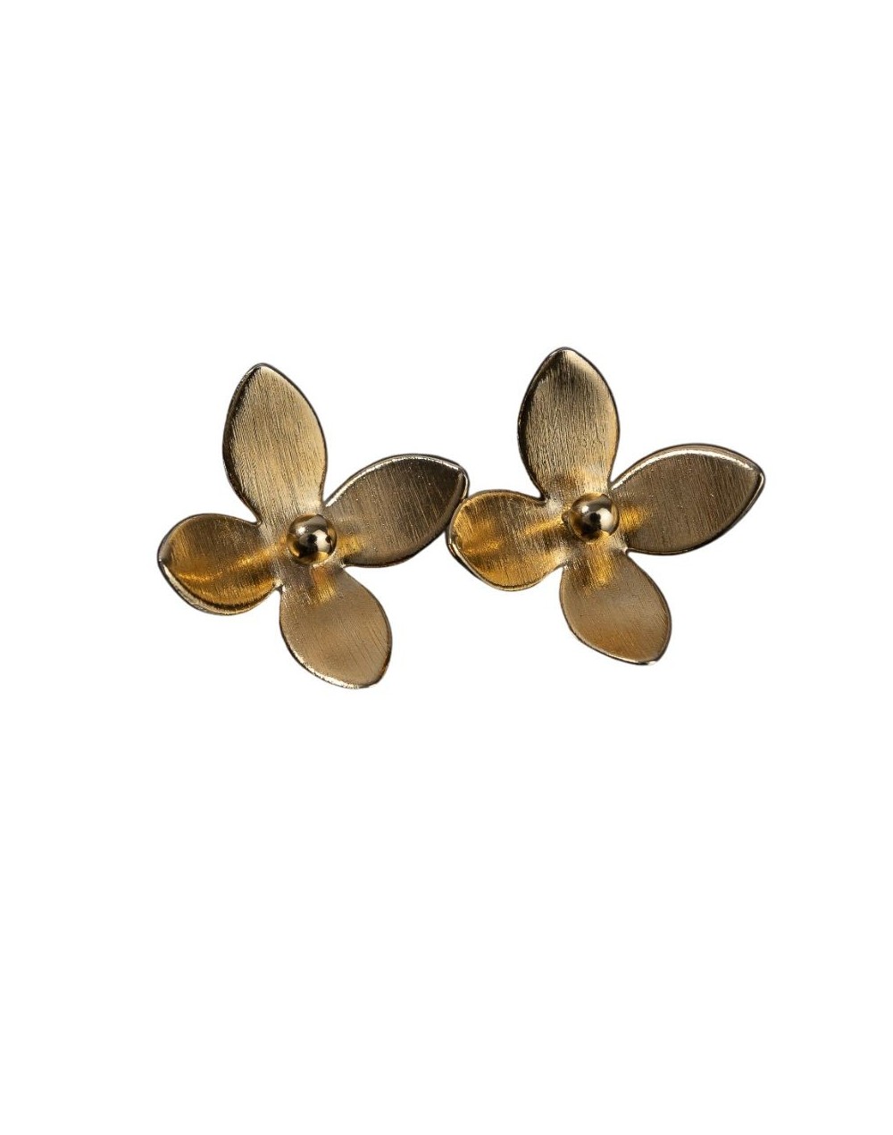 Aretes: Briza Botanica