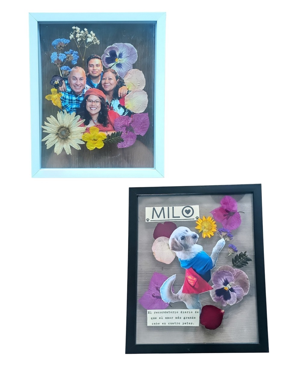 Memorias Florales - Mikatt 