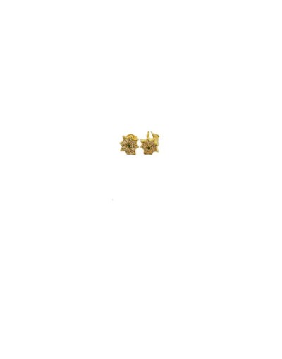 Aretes delicados en oro laminado