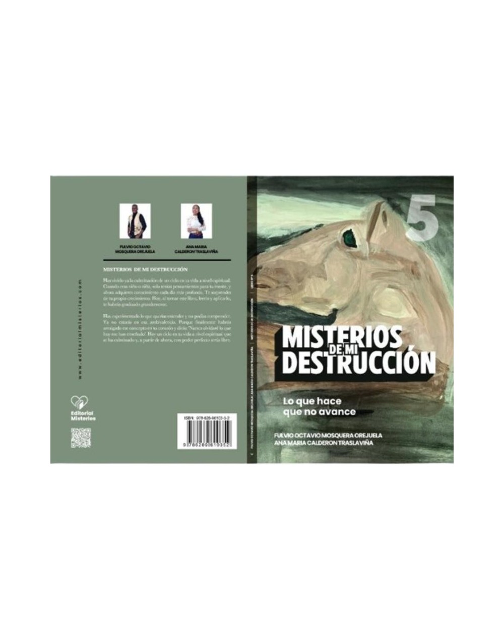 Misterios de mi Destrucción 