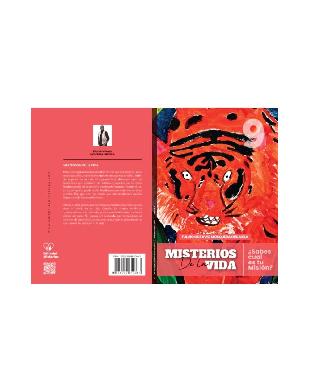 Misterios de la Vida