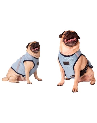 pechera resfrescante