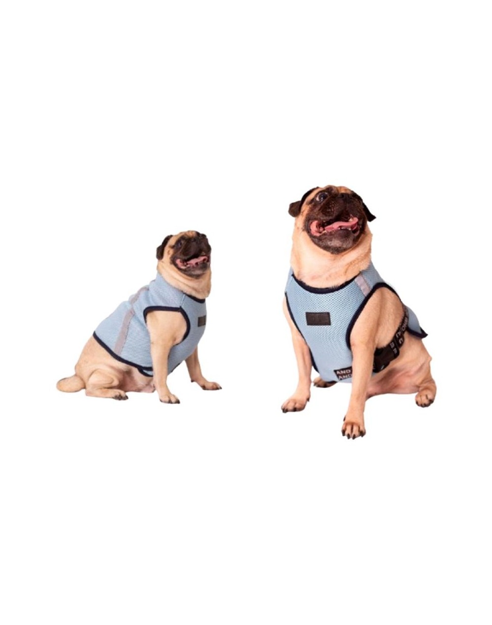 pechera resfrescante