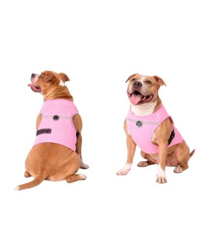 pechera resfrescante