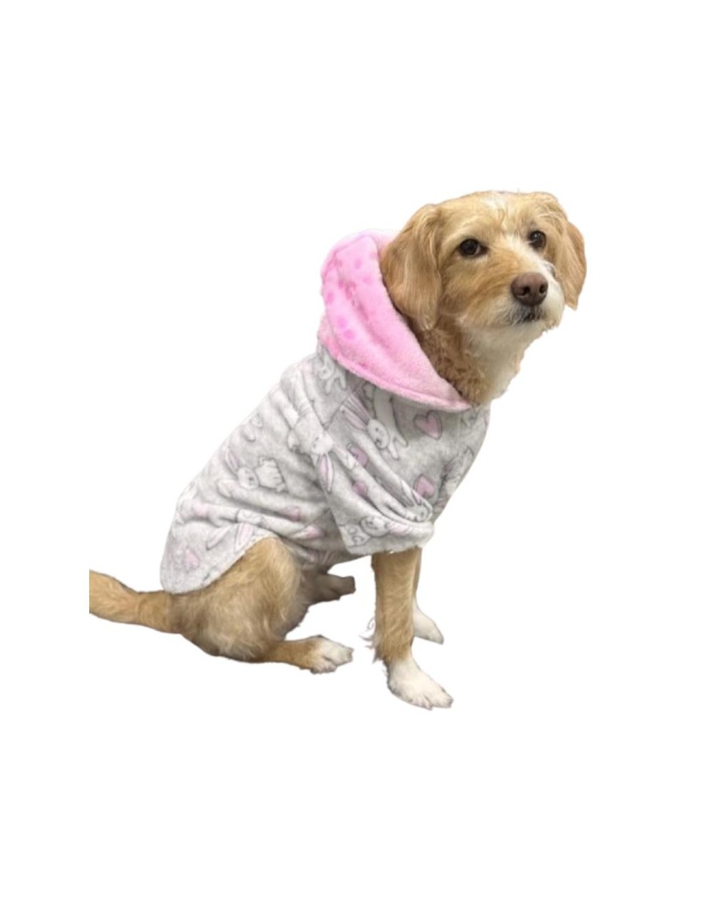 Hoodies para perros y gatos Talla S  Puchi Love 