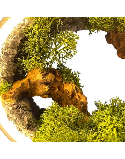 Lámpara Viva Sensorial 