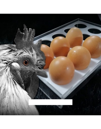 Caja para huevos