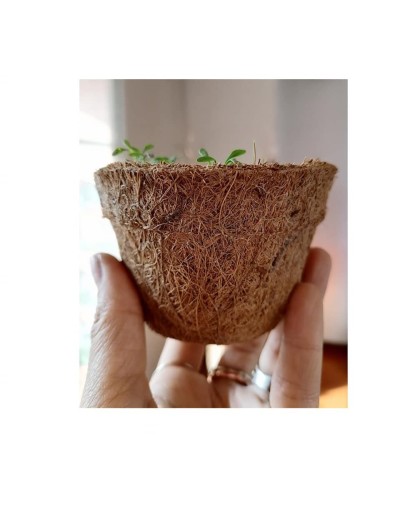 Kit Ecosiembra