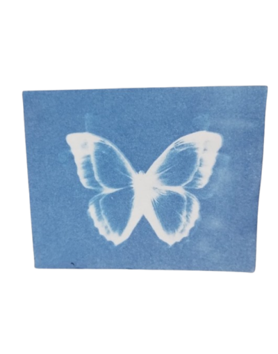 Cianotipias artesanales - Terapia de lo incierto