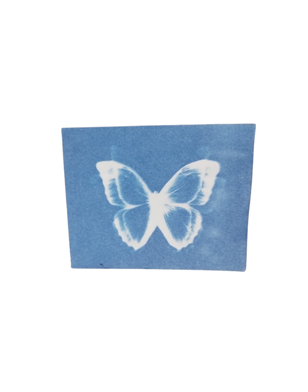 Cianotipias artesanales - Terapia de lo incierto