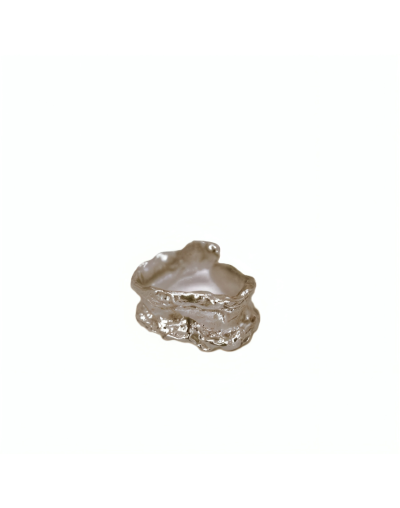 Anillo-plata-embalse.jpg