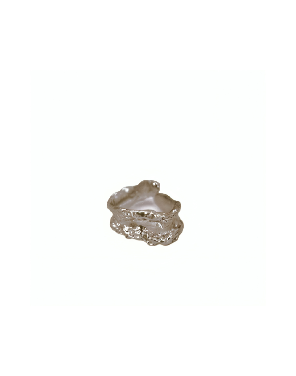 Anillo-plata-embalse.jpg
