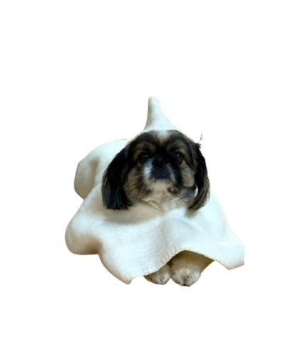 Ruana para mascotas con capota Estrato 8 