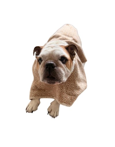 Ruana para mascotas sin capota Estrellita Errante 