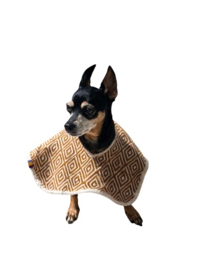 Ruana para mascotas sin capota Estrellita Errante 