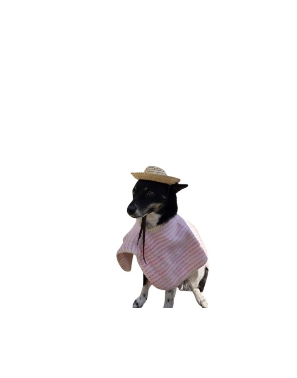 Ruana para mascotas sin capota Coqueta 