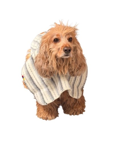 Ruana para mascotas sin capota Carranguera