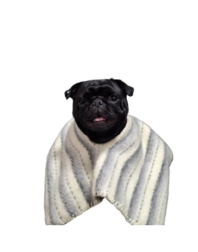 Ruana para mascotas sin capota Carranguera