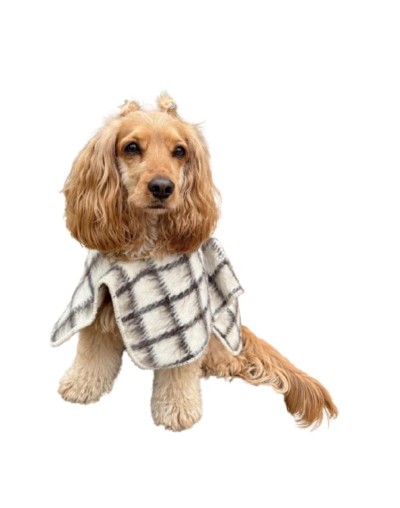 Ruana para mascotas sin capota Berriondita 