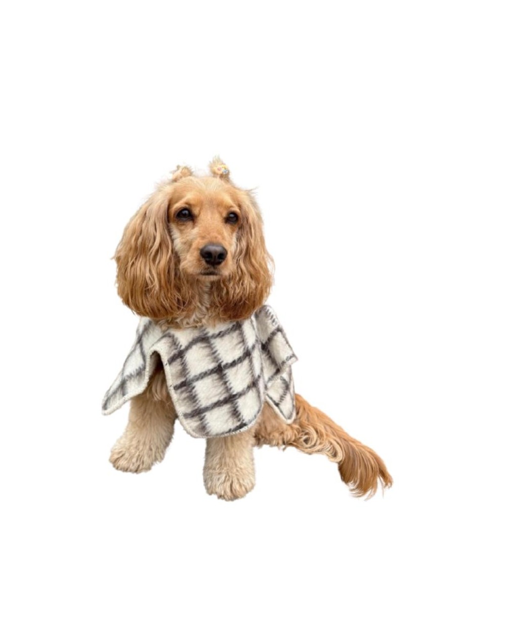 Ruana para mascotas sin capota Berriondita 